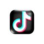 TikTok Views
